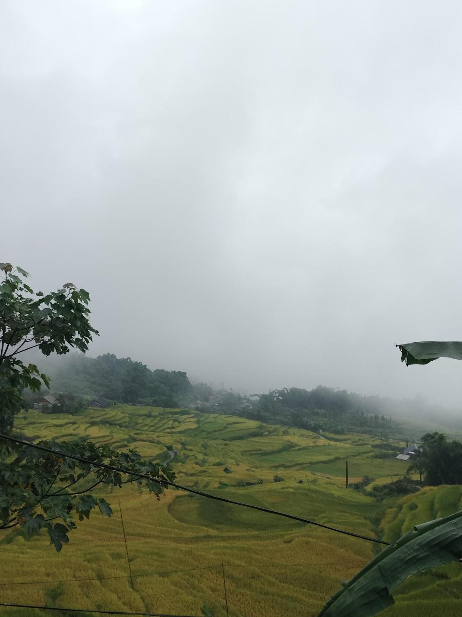 Flying Horse B & B 사파 외부 사진